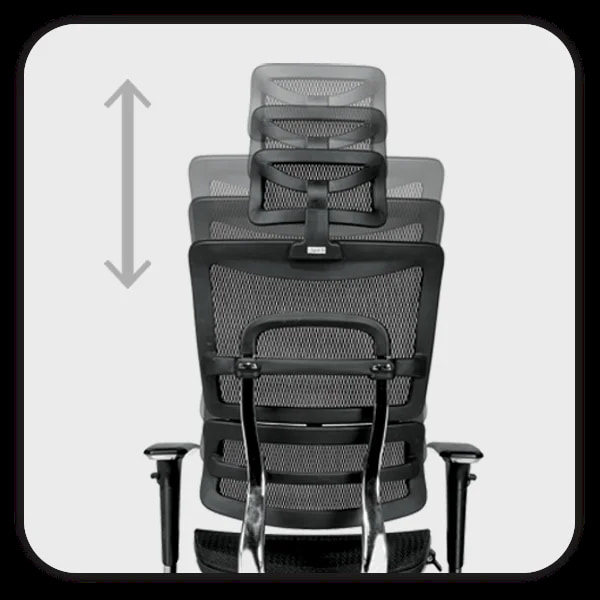 صندلی مدیریتی مدل T1121 راحتیران